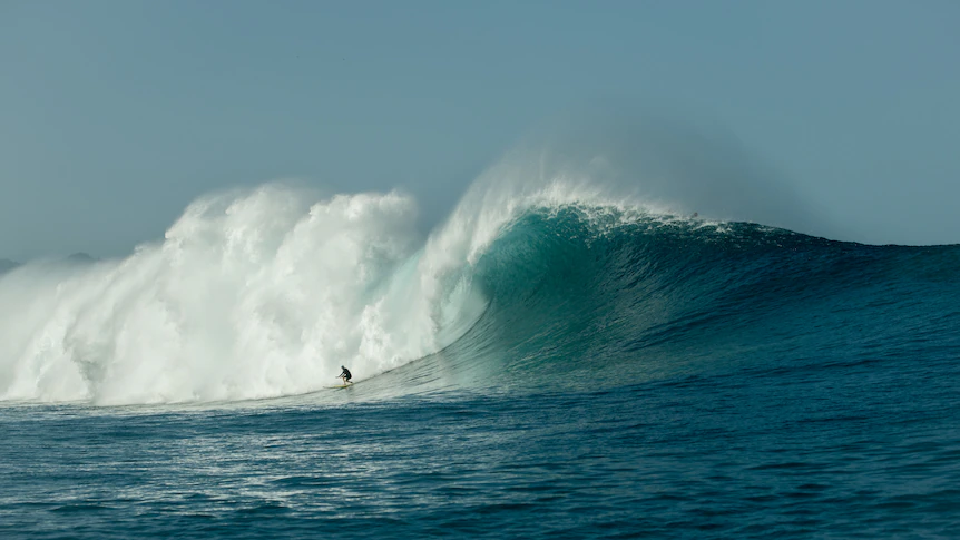 Photo: Daniel Russo